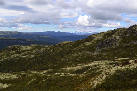 Rondane National Park